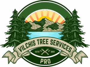 Vilchis Tree Services Pro Celebrates Hispanic Heritage and Community Unity Through Acworth Concert on The Green